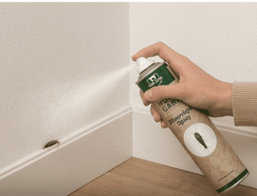 HomeGard: Professionele Ongediertebestrijding Nu Toegankelijk voor Iedere Consument