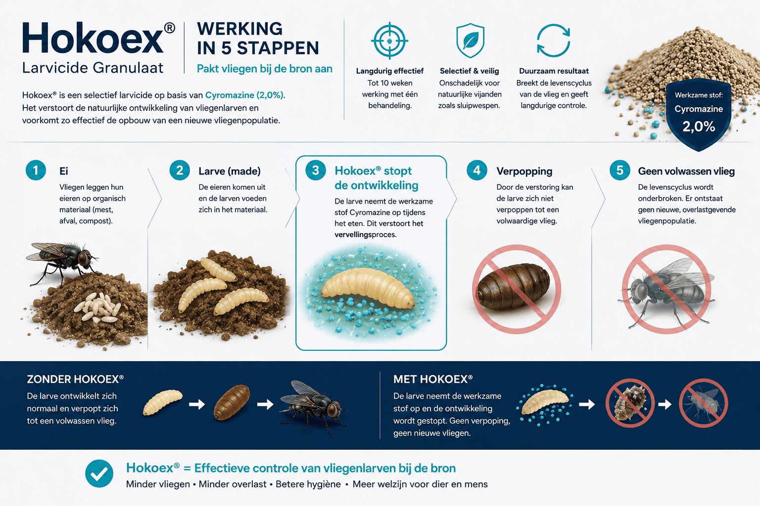Werking van Hokoex Larvicide tegen vliegenlarven